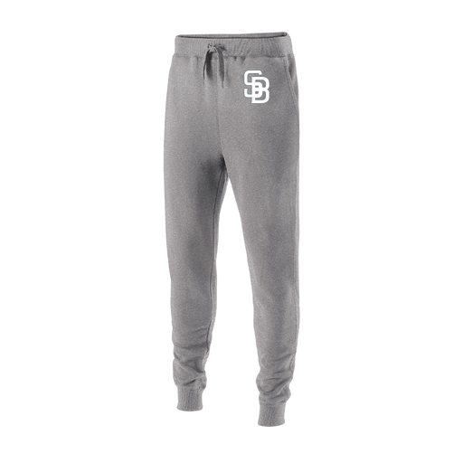 [229648.017.S-LOGO2] Youth 60/40 Fleece Jogger (Youth S, Silver, Logo 2)